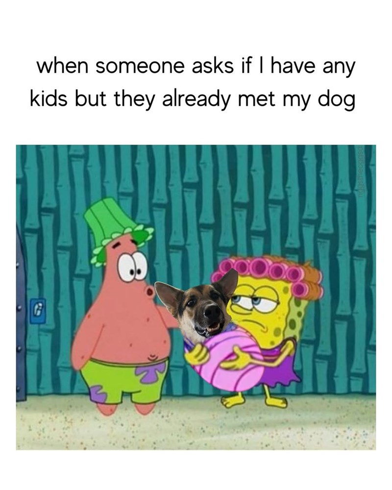 when someone asks if I have any kids but they already met my dog