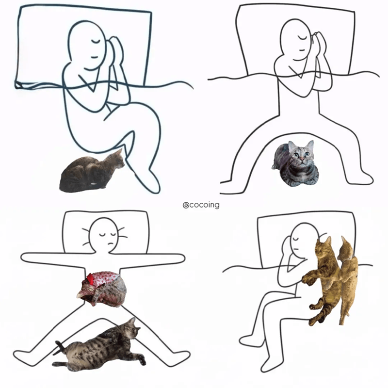 Cheezburger Image 10609659648