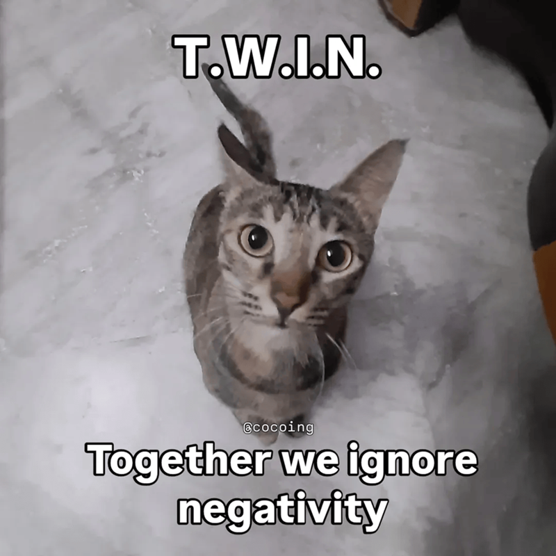 Cheezburger Image 10609660160