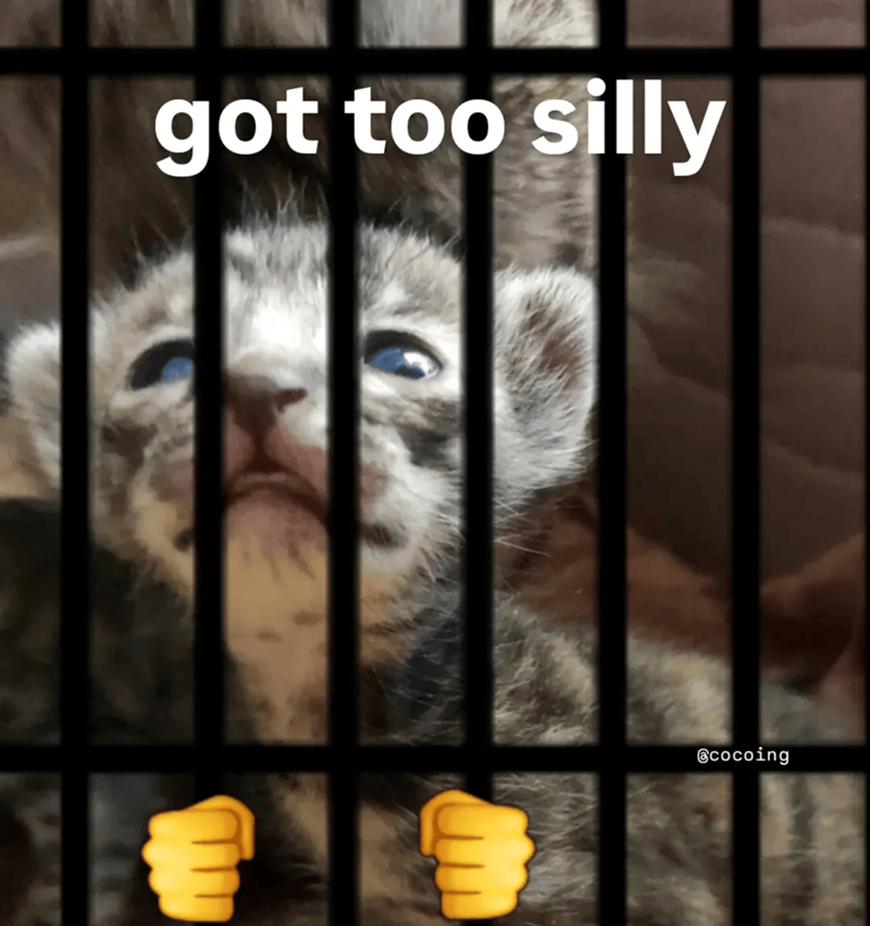 Cheezburger Image 10609660672