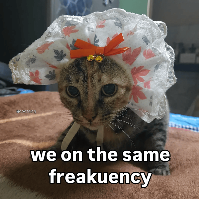 Cheezburger Image 10609660928