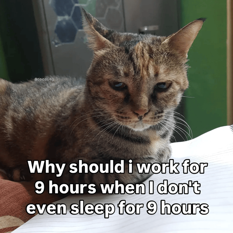 Cheezburger Image 10609661952