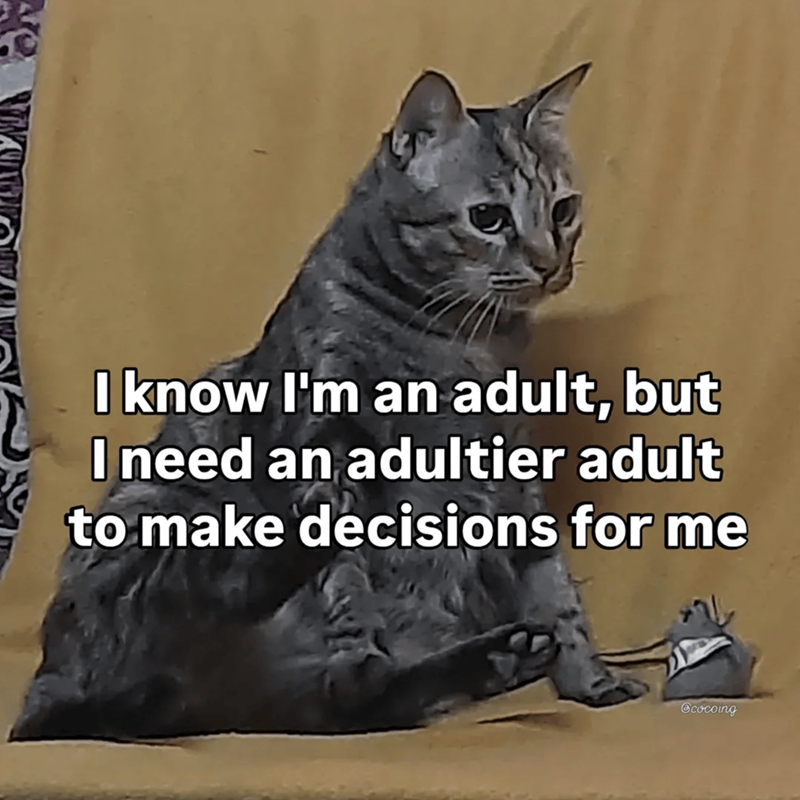 Cheezburger Image 10609662208