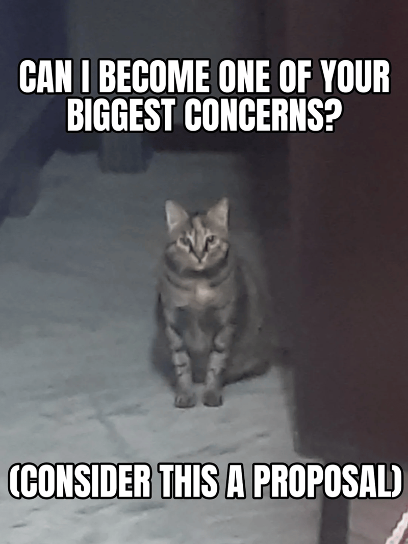 Cheezburger Image 10609664000