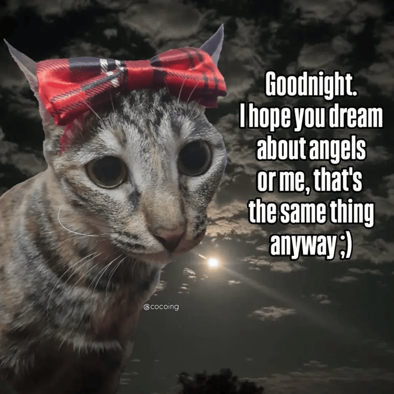 Cheezburger Image 10609664256