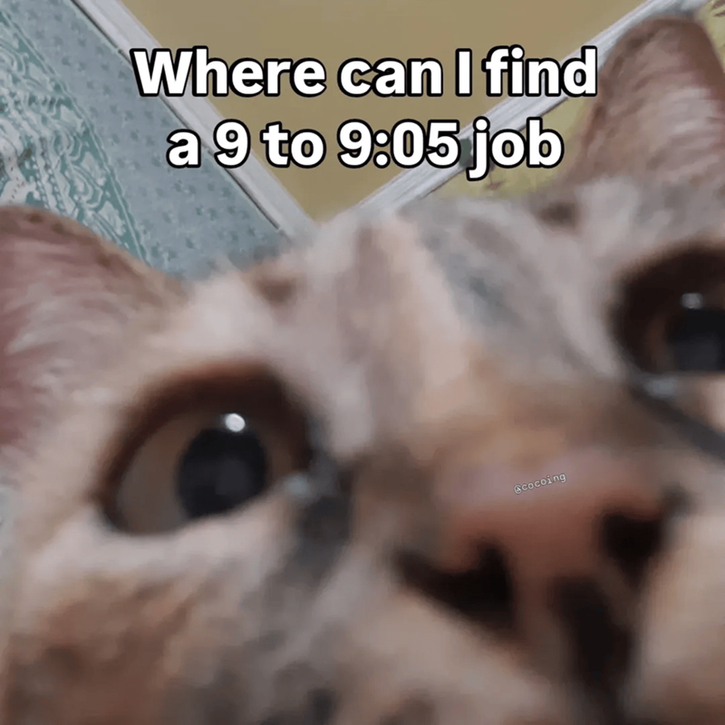 Cheezburger Image 10609664768