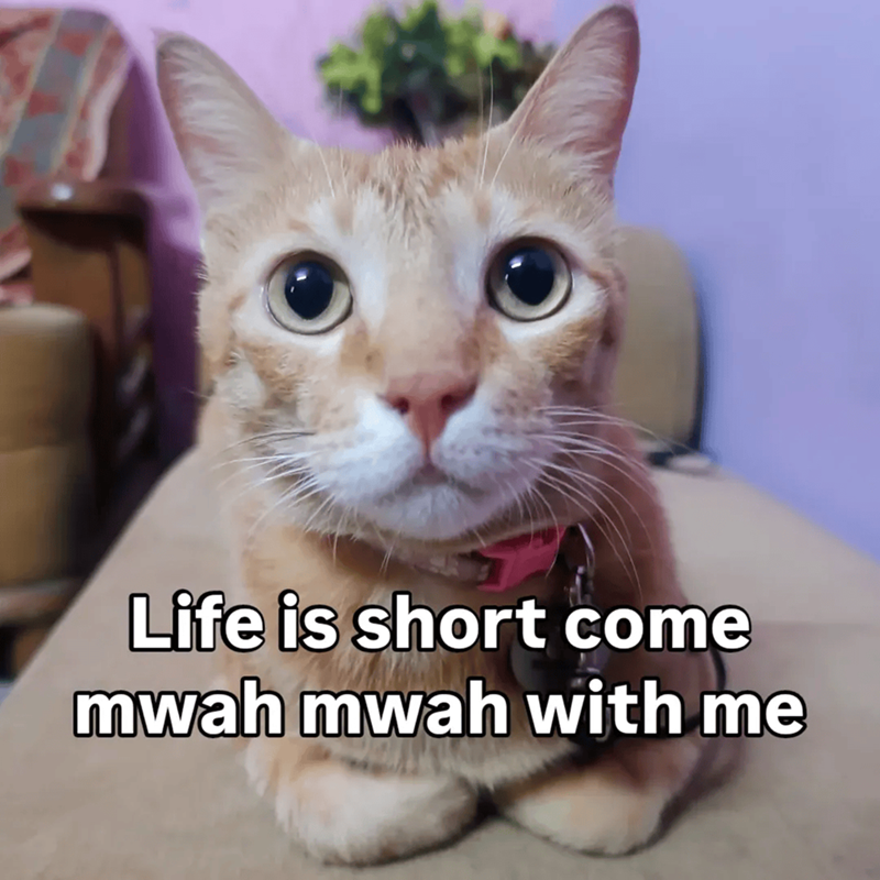 Cheezburger Image 10609665280