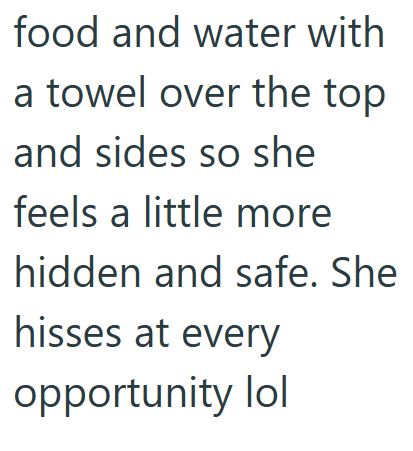 food and water with a towel over the top and sides so she feels a little more hidden and safe. She hisses at every opportunity lol