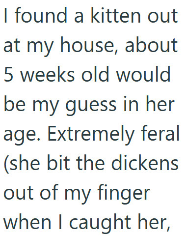 I found a kitten out at my house, about 5 weeks old would be my guess in her age. Extremely feral (she bit the dickens out of my finger when I caught her,