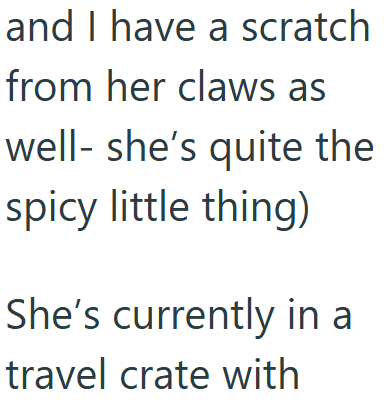 and I have a scratch from her claws as well-she's quite the spicy little thing) She's currently in a travel crate with