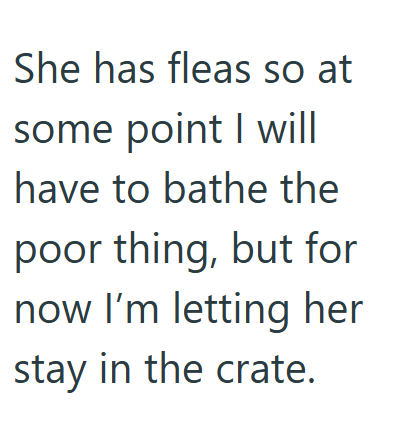 She has fleas so at some point I will have to bathe the poor thing, but for now I'm letting her stay in the crate.