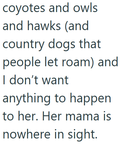 coyotes and owls and hawks (and country dogs that people let roam) and I don't want anything to happen to her. Her mama is nowhere in sight.