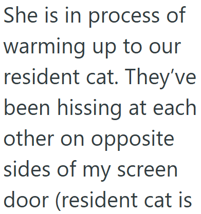 She is in process of warming up to our resident cat. They've been hissing at each other on opposite sides of my screen door (resident cat is