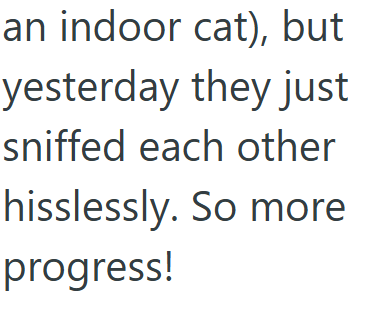 an indoor cat), but yesterday they just sniffed each other hisslessly. So more progress!