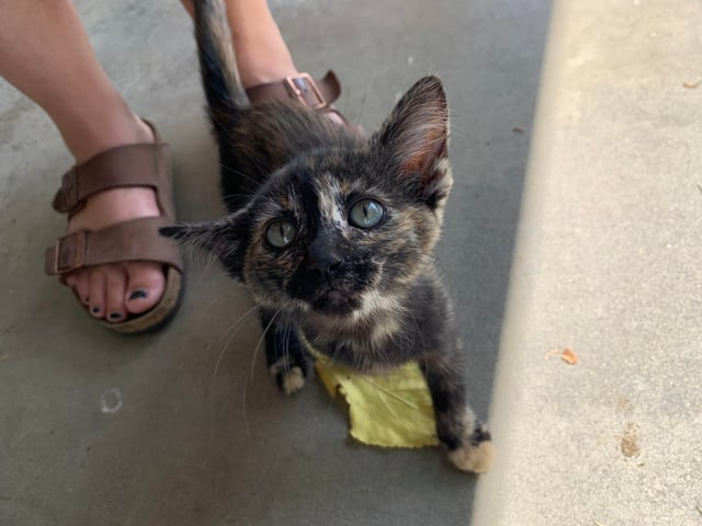 Cheezburger Image 10609669888