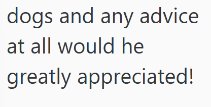 dogs and any advice at all would he greatly appreciated!