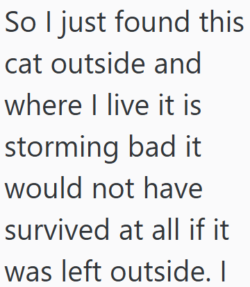 So I just found this cat outside and where I live it is storming bad it would not have survived at all if it was left outside. I