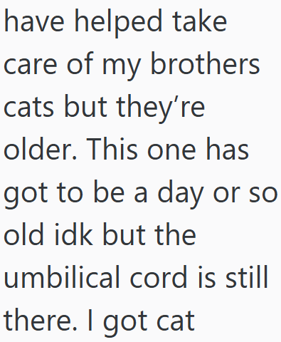have helped take care of my brothers cats but they're older. This one has got to be a day or so old idk but the umbilical cord is still there. I got cat