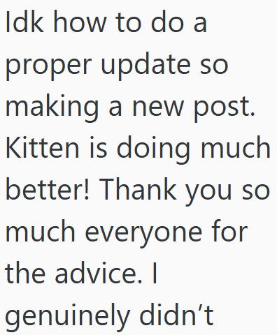 Idk how to do a proper update so making a new post. Kitten is doing much better! Thank you so much everyone for the advice. I genuinely didn't