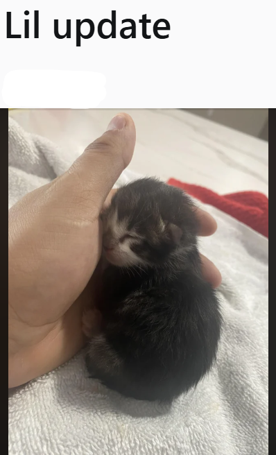 Lil update