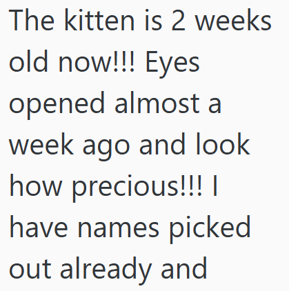The kitten is 2 weeks old now!!! Eyes opened almost a week ago and look how precious!!! | have names picked out already and
