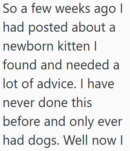 So a few weeks ago I had posted about a newborn kitten I found and needed a lot of advice. I have never done this before and only ever had dogs. Well now I