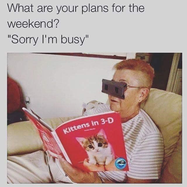 What are your plans for the weekend? "Sorry I'm busy" Kittens in 3-D