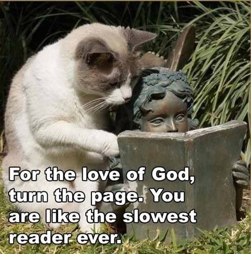 For the love of God, turn the page. You are like the slowest reader ever.