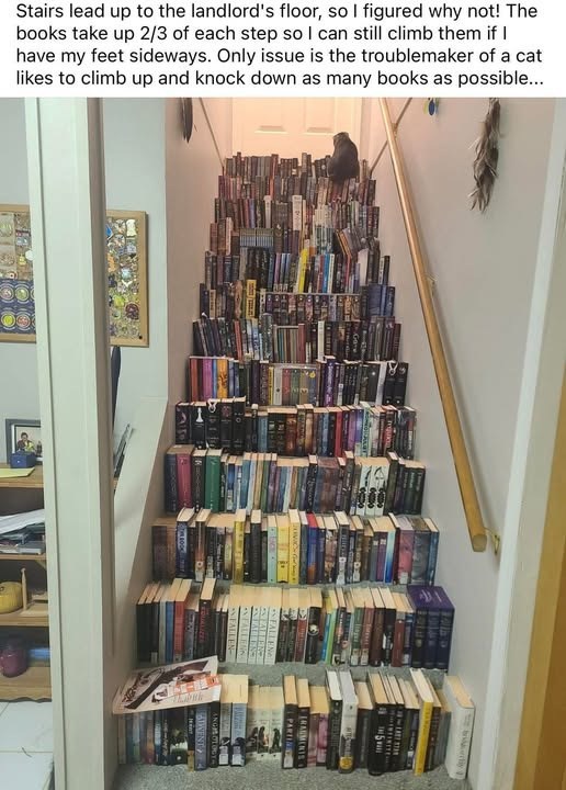 Stairs lead up to the landlord's floor, so I figured why not! The books take up 2/3 of each step so I can still climb them if I have my feet sideways. Only issue is the troublemaker of a cat likes to climb up and knock down as many books as possible... PARTI RAUMENTS & FALLENell FALLENN