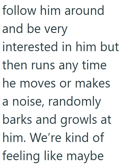 follow him around and be very interested in him but then runs any time he moves or makes a noise, randomly barks and growls at him. We're kind of feeling like maybe
