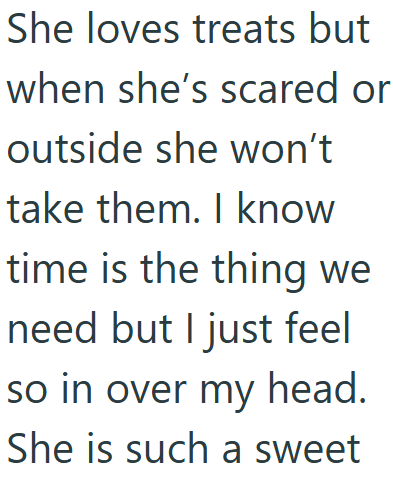 She loves treats but when she's scared or outside she won't take them. I know time is the thing we need but I just feel so in over my head. She is such a sweet