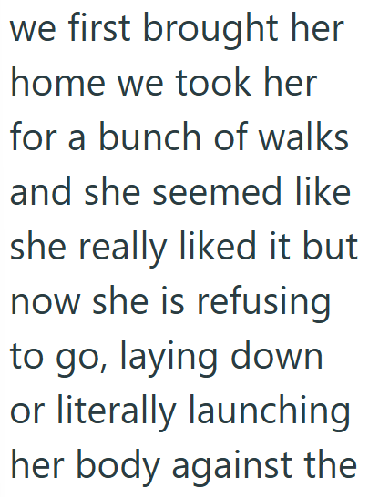 we first brought her home we took her for a bunch of walks and she seemed like she really liked it but now she is refusing to go, laying down or literally launching her body against the
