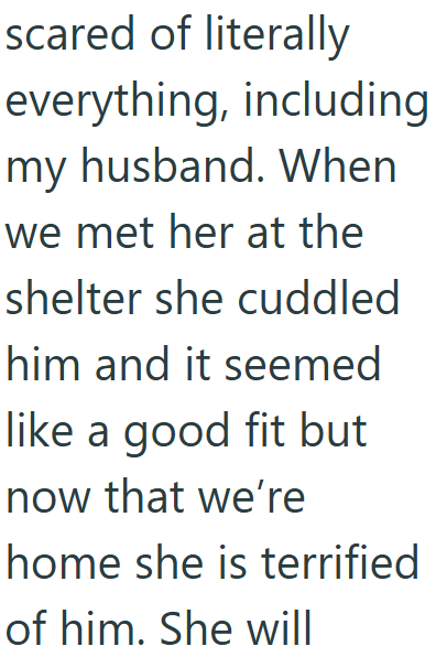 scared of literally everything, including my husband. When we met her at the shelter she cuddled him and it seemed like a good fit but now that we're home she is terrified of him. She will