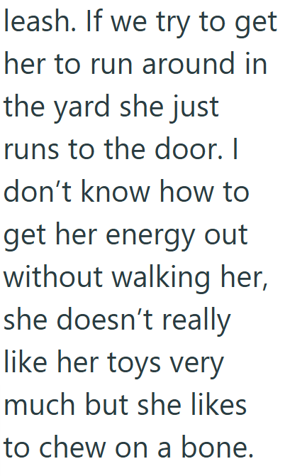 leash. If we try to get her to run around in the yard she just runs to the door. I don't know how to get her energy out without walking her, she doesn't really like her toys very much but she likes to chew on a bone.