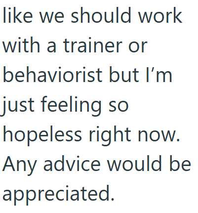 like we should work with a trainer or behaviorist but I'm just feeling so hopeless right now. Any advice would be appreciated.