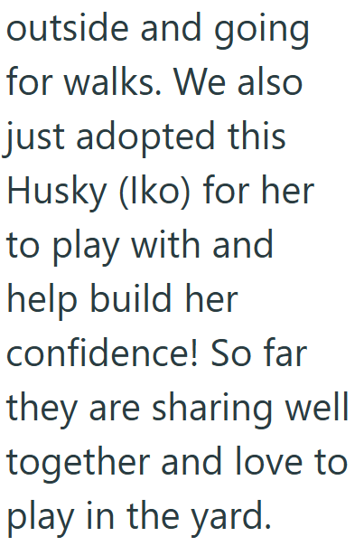outside and going for walks. We also just adopted this Husky (Iko) for her to play with and help build her confidence! So far they are sharing well together and love to play in the yard.