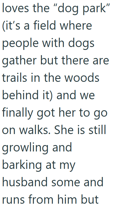 loves the "dog park" (it's a field where people with dogs gather but there are trails in the woods behind it) and we finally got her to go on walks. She is still growling and barking at my husband some and runs from him but