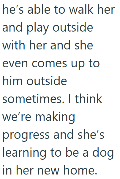 he's able to walk her and play outside with her and she even comes up to him outside sometimes. I think we're making progress and she's learning to be a dog in her new home.