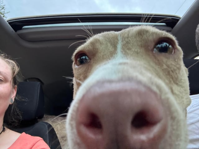 Cheezburger Image 10609697536