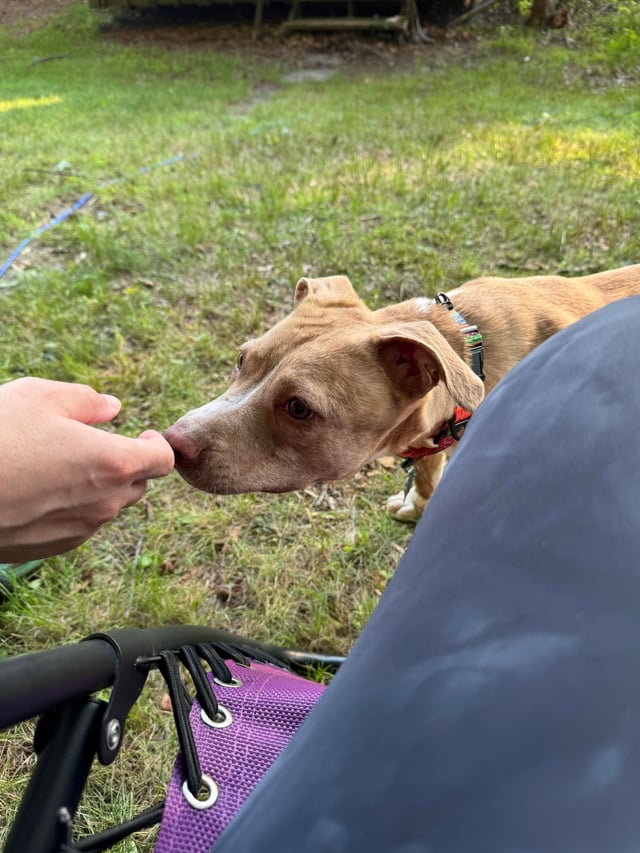 Cheezburger Image 10609697792