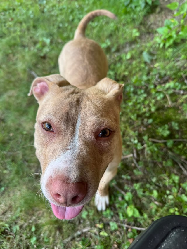 Cheezburger Image 10609698304