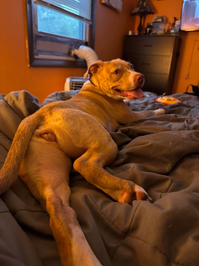 Cheezburger Image 10609698560