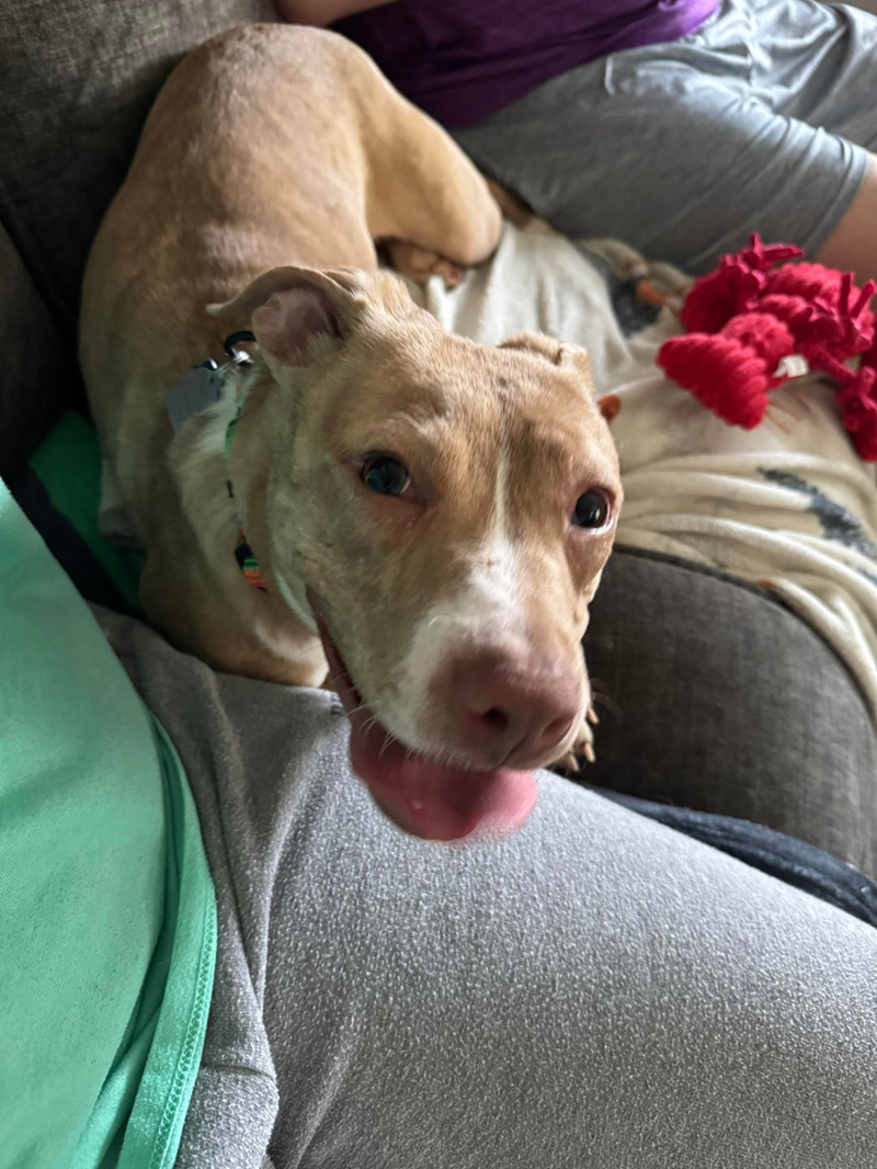 Cheezburger Image 10609698816