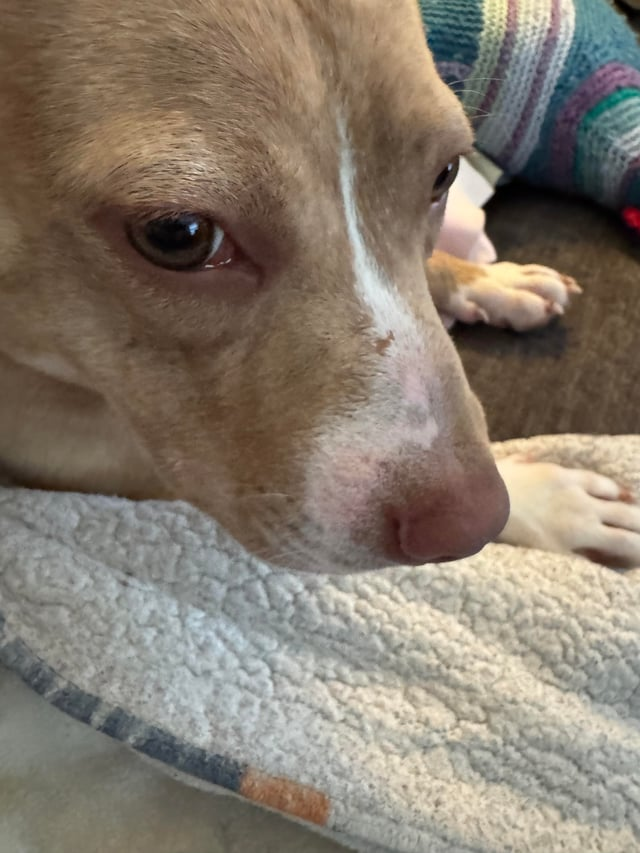 Cheezburger Image 10609699072