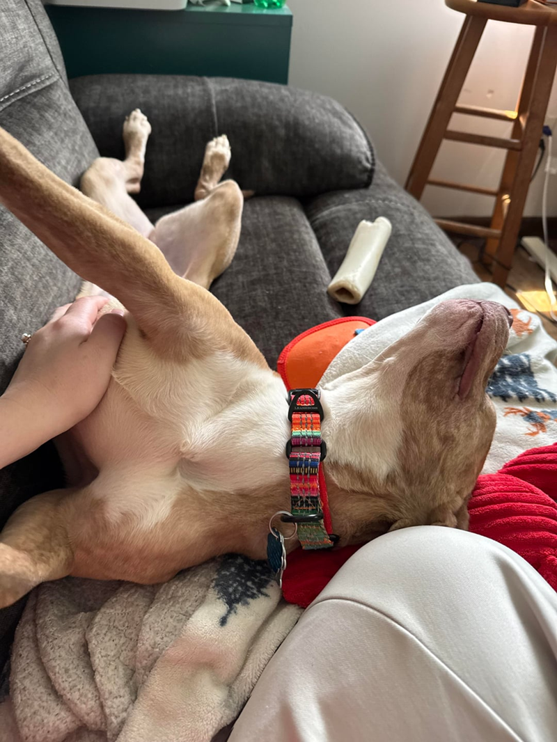 Cheezburger Image 10609699328