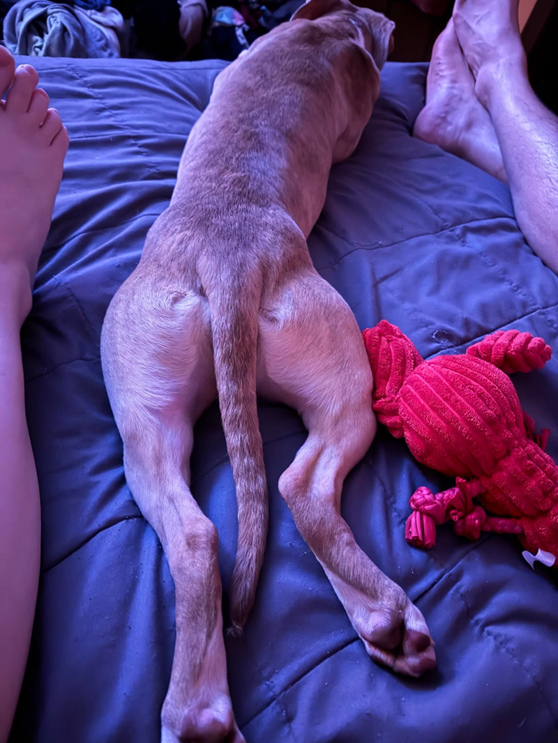 Cheezburger Image 10609699584