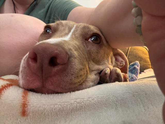 Cheezburger Image 10609700608