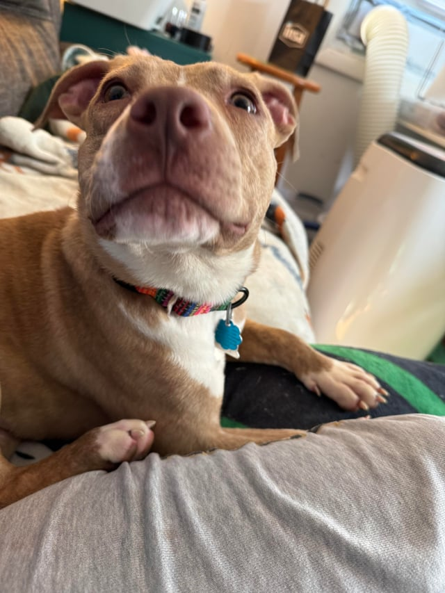 Cheezburger Image 10609700864