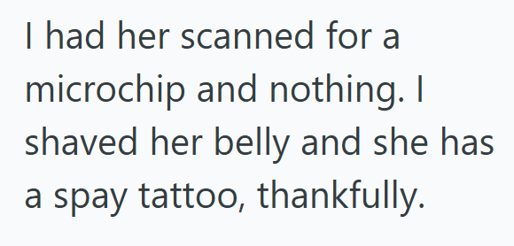 I had her scanned for a microchip and nothing. I shaved her belly and she has a spay tattoo, thankfully.