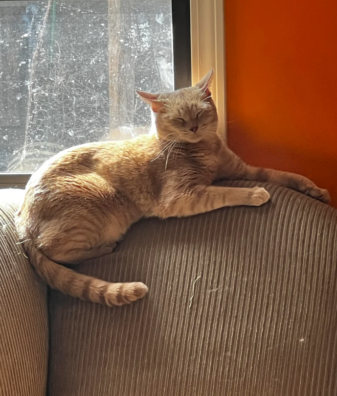 Cheezburger Image 10609704960